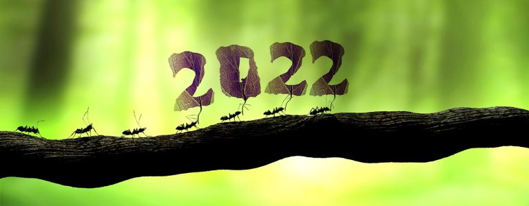 Некоторые вехи устойчивого развития в 2022 году