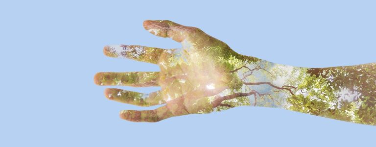 Уроки устойчивой регенерации: щедрая и разумная жизнь растений