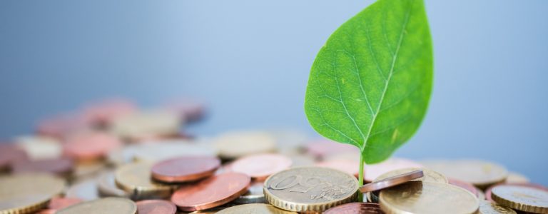 Что такое регенеративный капитализм и как он способствует устойчивому развитию?