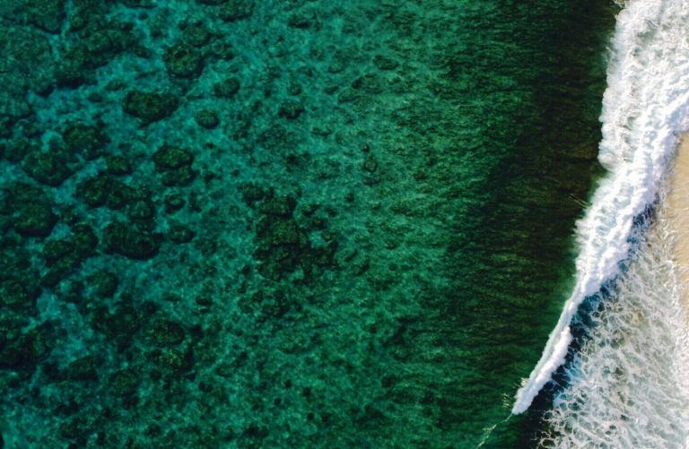 Океаны меняют цвет: все зеленее и зеленее