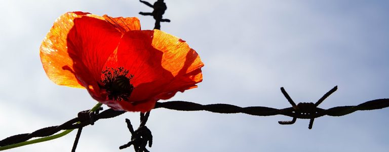 Краткая история прав человека