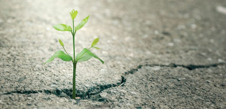 Биоцемент, бесконечные устойчивые альтернативы старому бетону