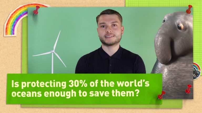 Достаточно ли защиты 30% наших океанов, чтобы спасти их?