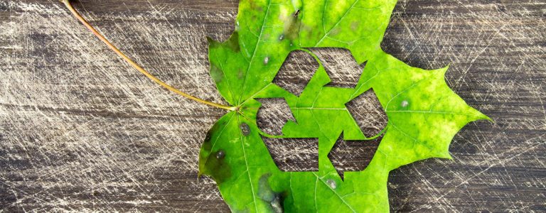 Что такое циркулярная экономика?