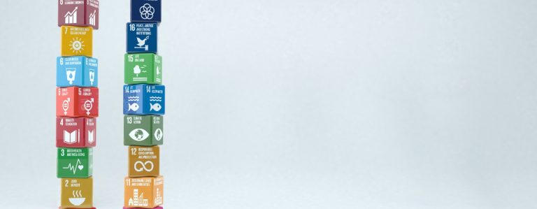 Каковы цели устойчивого развития?