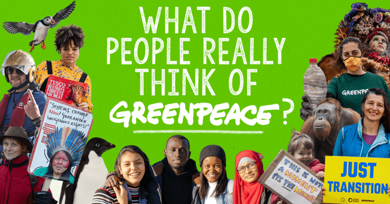 Что чувствуют сторонники Гринпис после года кампании и что нам делать дальше?