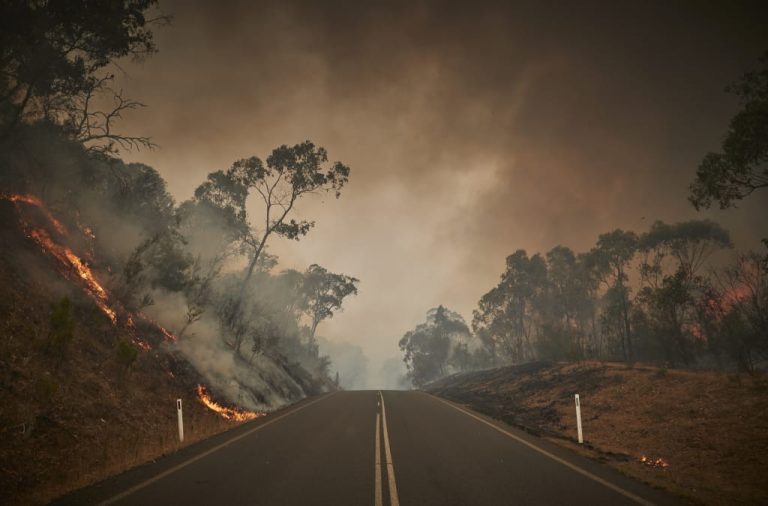 Проверка фактов: беспрецедентные пожары в Австралии связаны с изменением климата, а не с поджогами