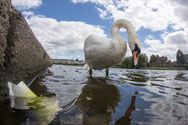 Новые законы о загрязнении воздуха и воды полны лазеек
