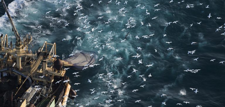 Что Брексит означает для сельского хозяйства, рыболовства и изменения климата?