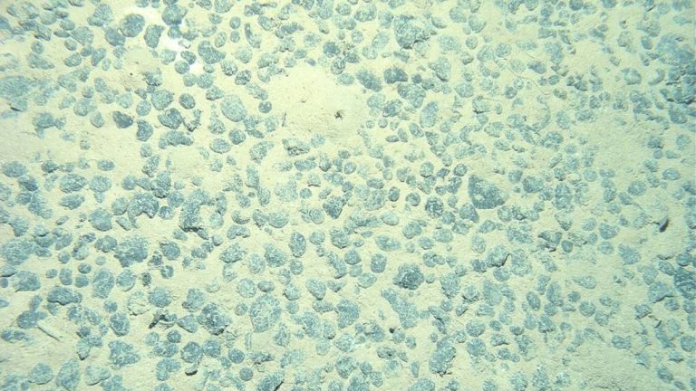 100 НПО призывают к глобальному мораторию