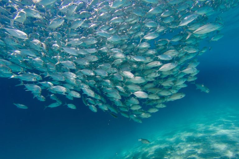 Видео: Новая угроза нашей планете, столь же опасная, как изменение климата
