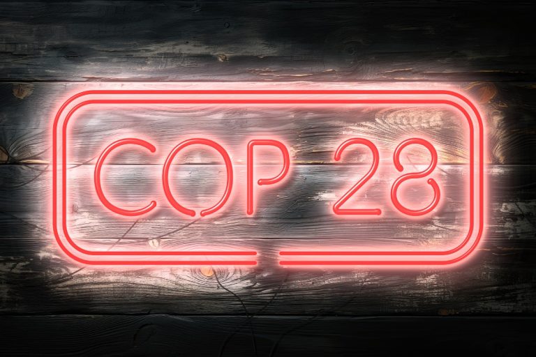 Индия призывает богатые страны стать углеродно-отрицательными