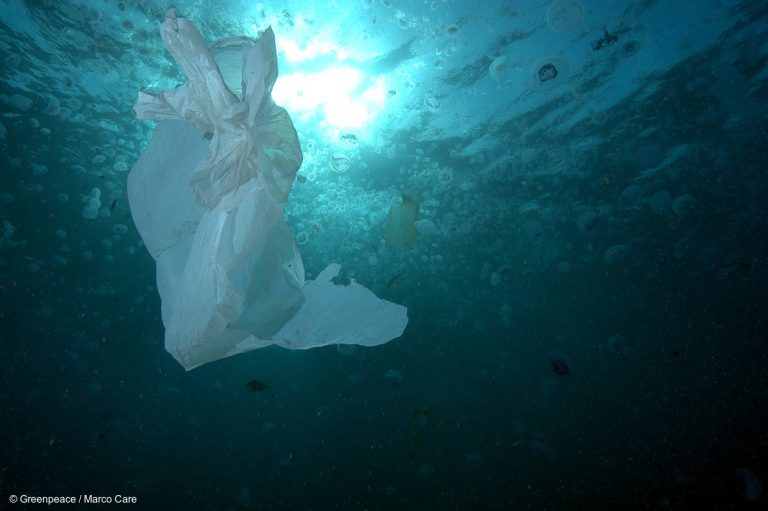 Что нужно сделать Майклу Гоуву, чтобы выиграть войну с пластиком?