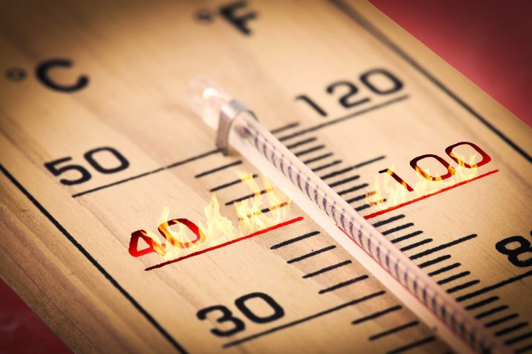 в 2022 году их было 70 тысяч