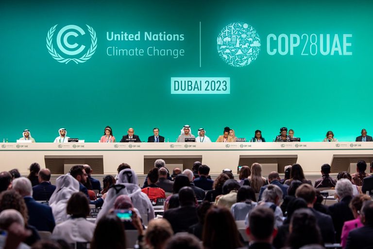 Cop 28, или еще одна глава политики «разделяй и властвуй»
