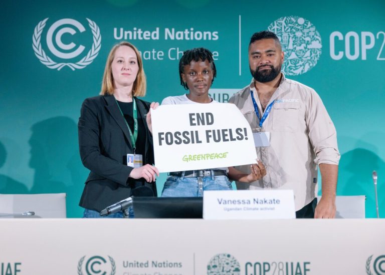 Что произошло на COP28 и какое влияние это оказывает на мировой климат?