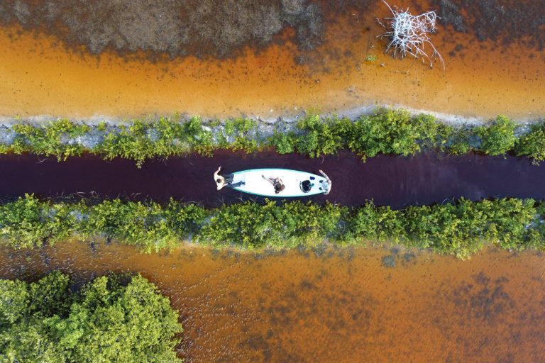 Всемирный день водно-болотных угодий 2024 г.: решающее значение для благополучия человека