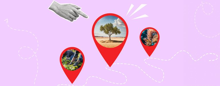 Сила местных действий: истории революции устойчивого развития