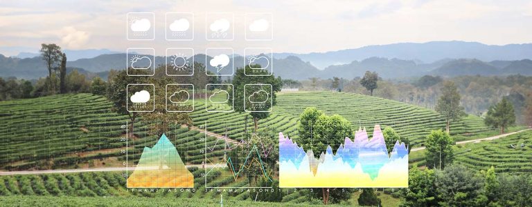 Вот как ИИ предсказывает следующие экстремальные погодные явления