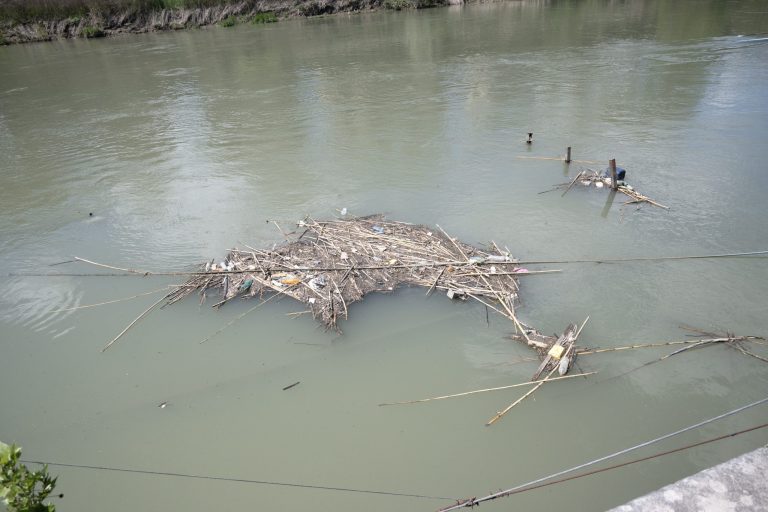 Закон Сальвамаре, сорванный бюрократией
