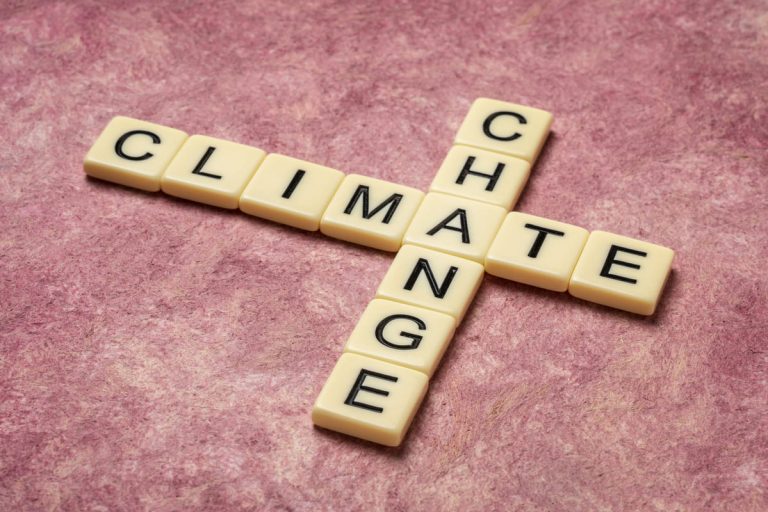 2-е место с температурой +1,54°C