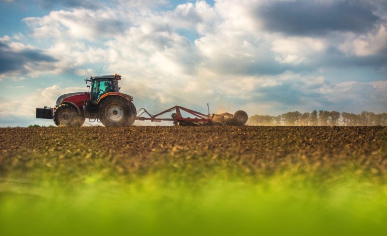 ETS Agriculture: предложение ЕЭБ