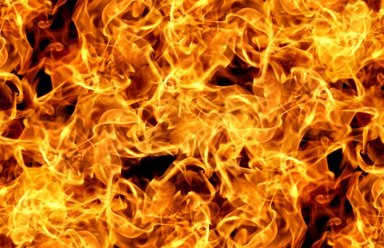 роль пожаров в его уменьшении