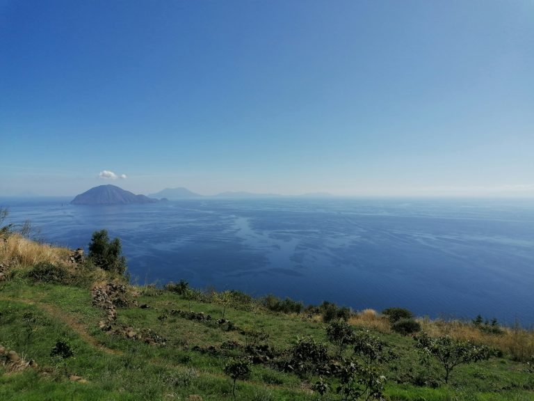 через 2 года всего на 0,5% более защищено