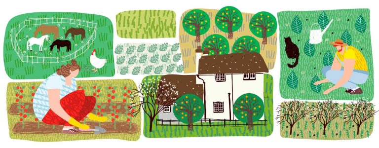 6 ключевых методов регенеративного сельского хозяйства для восстановления здоровья почвы