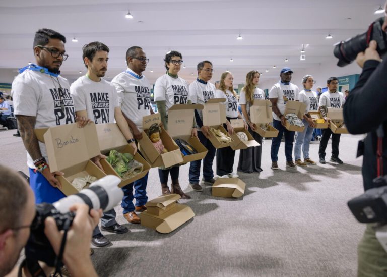 После COP29 это международная климатическая встреча 2024 года, о которой нужно знать.