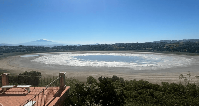 351 в 2024 году, +485% за 10 лет