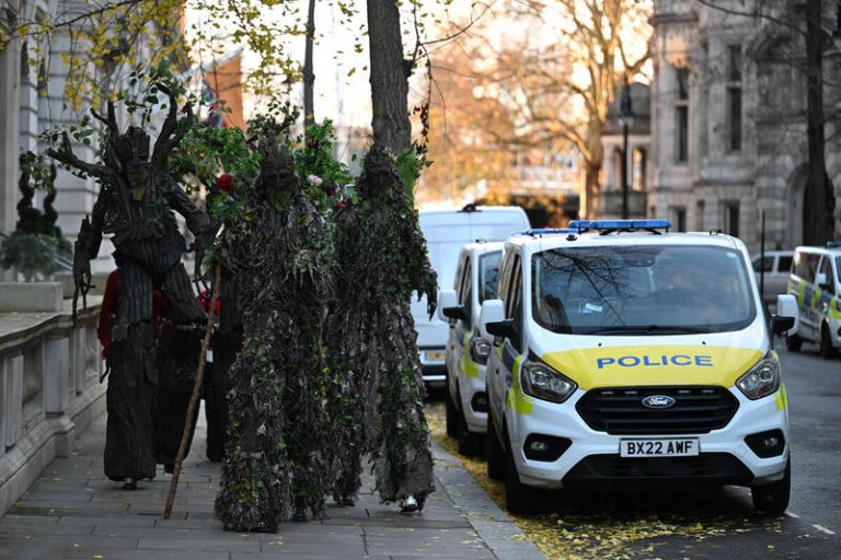 Колядующие, энты и коалиция зеленых групп протестуют против субсидий на сжигание «рождественских» елок