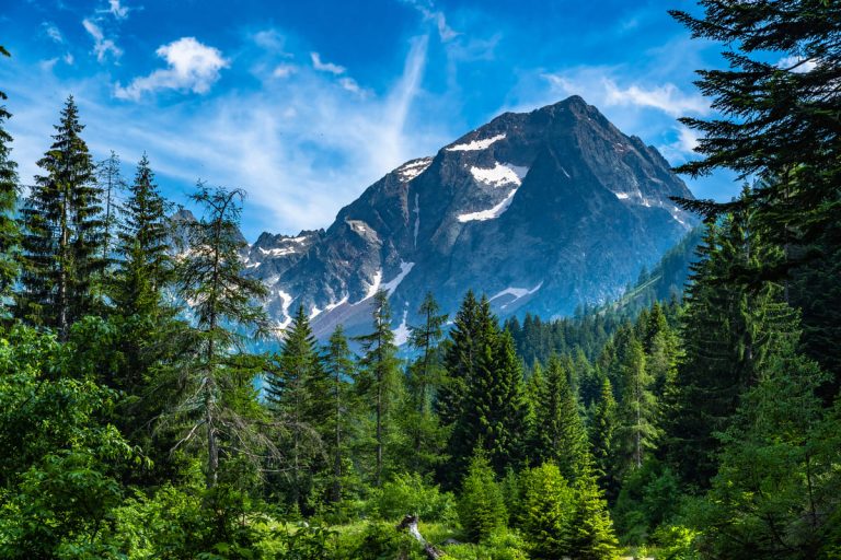 в Италии -50% за 100 лет