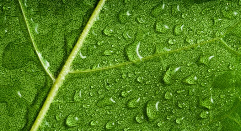 это более 300 миллиардов долларов в год