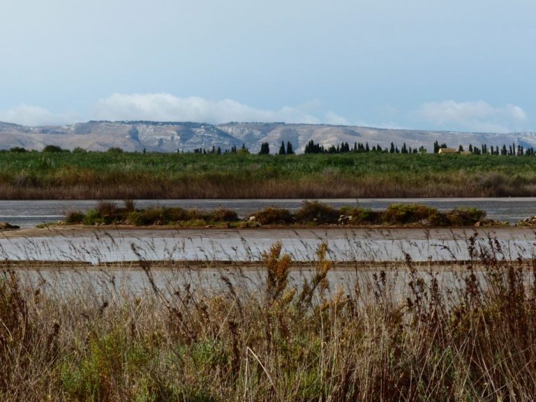 Уровень захвата CO2 стабилизируется за 15 лет