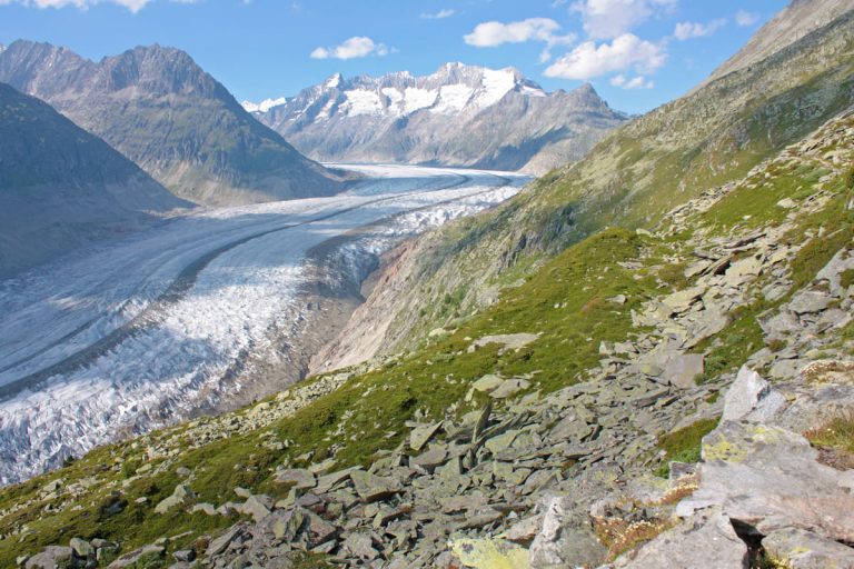 За 20 лет ускоряется 36%