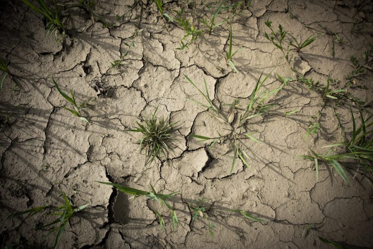 «Постоянный» снижение изменения климата