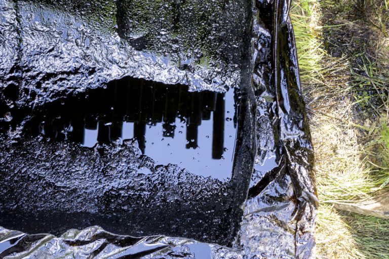 Страхование на ущерб окружающей среде: 0,64% компании завершают покрытие