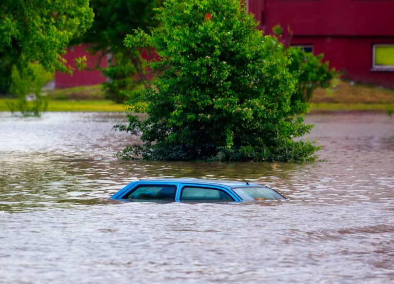 Планы адаптации городских