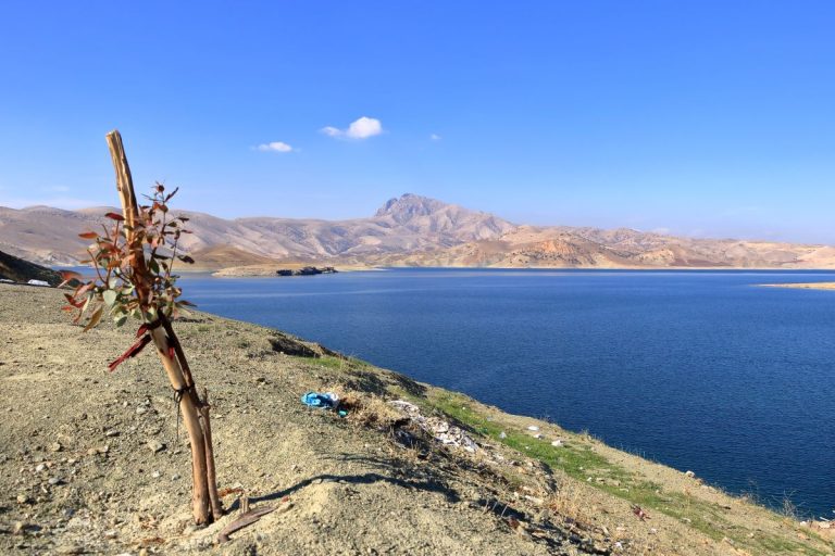 Климатический кризис и будущее устойчивости