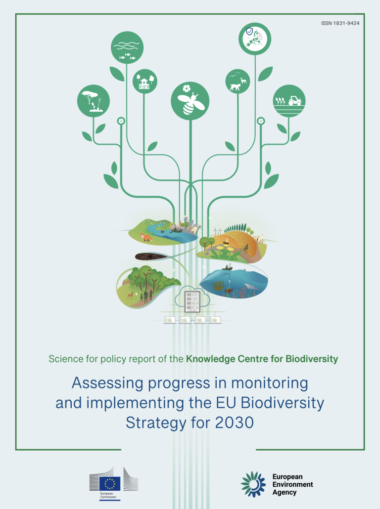 Государства ЕС о биоразнообразии, основах на земле