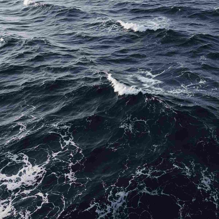 Меньше света в морях. Биоразнообразие в опасности