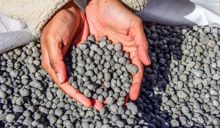 В Норфолке родилась система, которая превращает CO2 в устойчивые строительные материалы