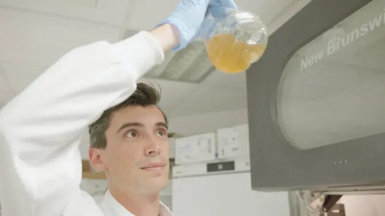 Пластиковые отходы превращаются в парацетамол: бактерия революционизирует химический процесс