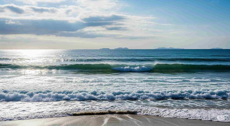 Без общих правил усилия по спасению океана могут потерпеть неудачу