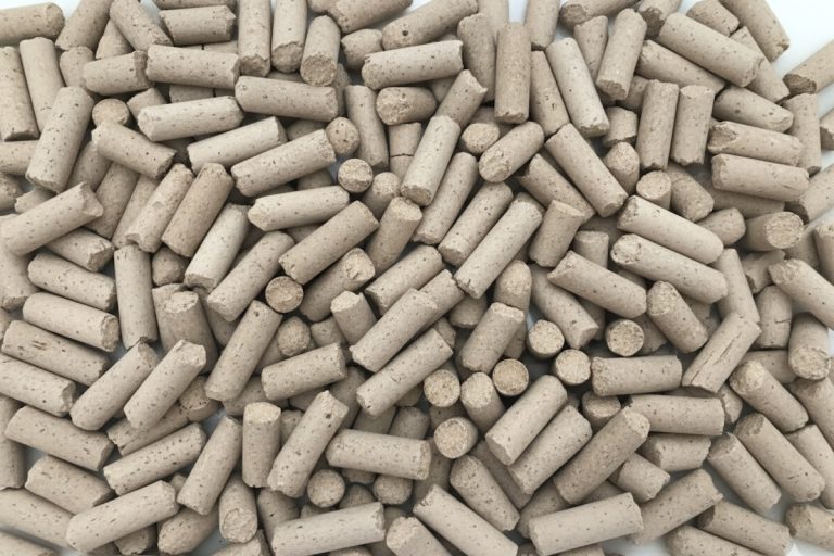 Водоросли биокерамика: шаг вперед для устойчивых строительных материалов