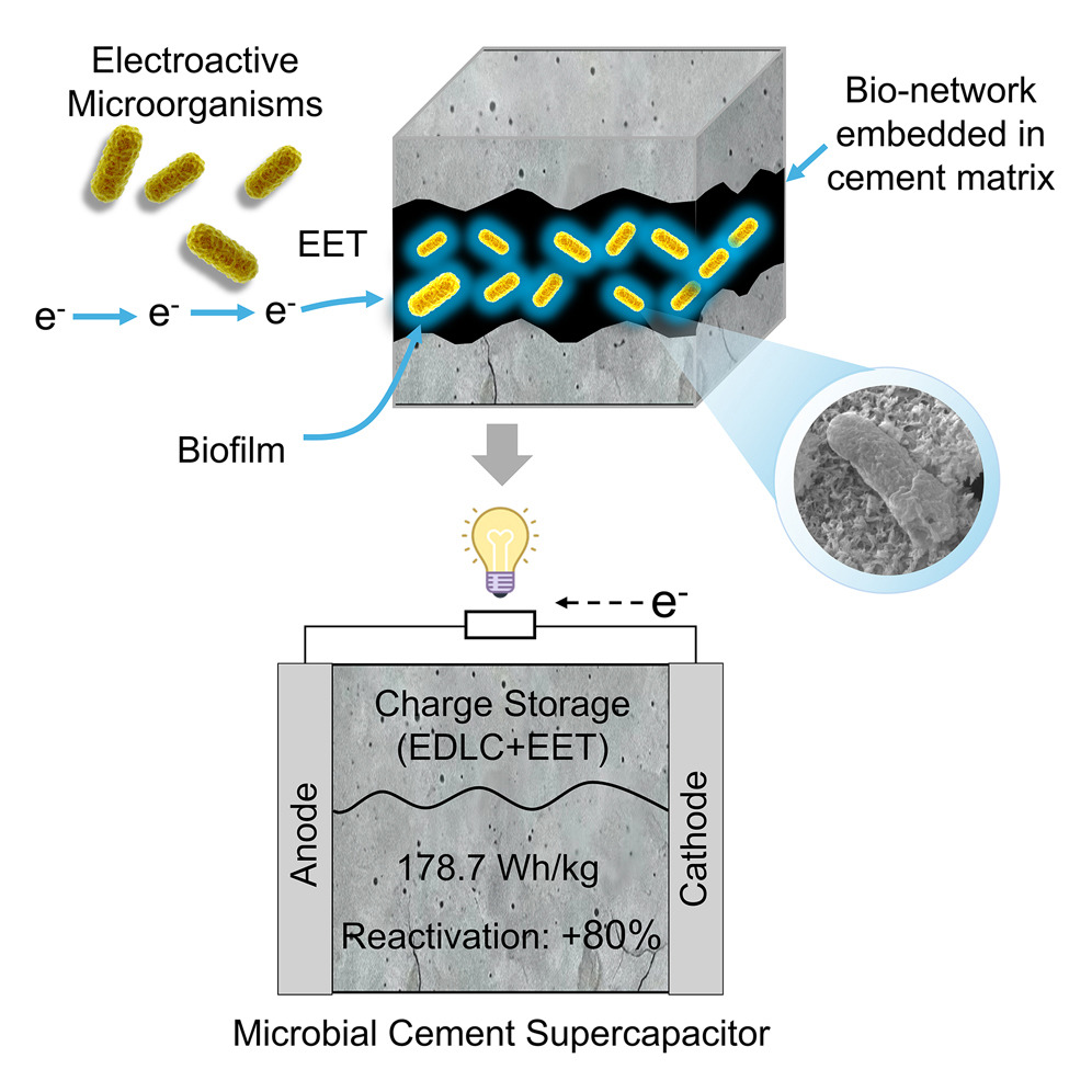 Bioebrido supercondensor