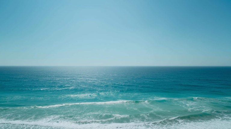 Предупреждение Комиссии ЕС о состоянии здоровья океана