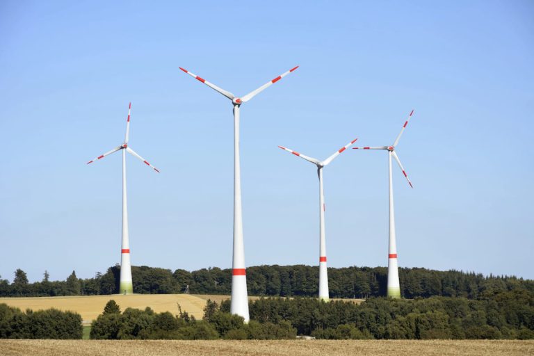 GSE: новый аукцион государственных облигаций 19 декабря 2025 г.