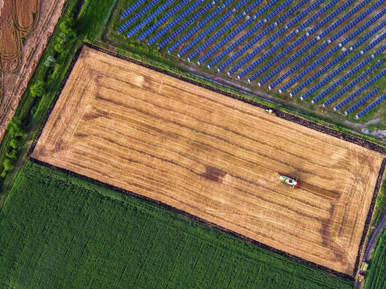 Переходный указ — Подходящие территории, как изменился текст в Сенате